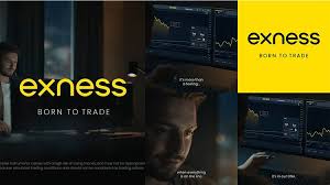 Understanding the Role of Exness CY Ltd in Forex Trading Understanding the Role of Exness CY Ltd in Forex Trading